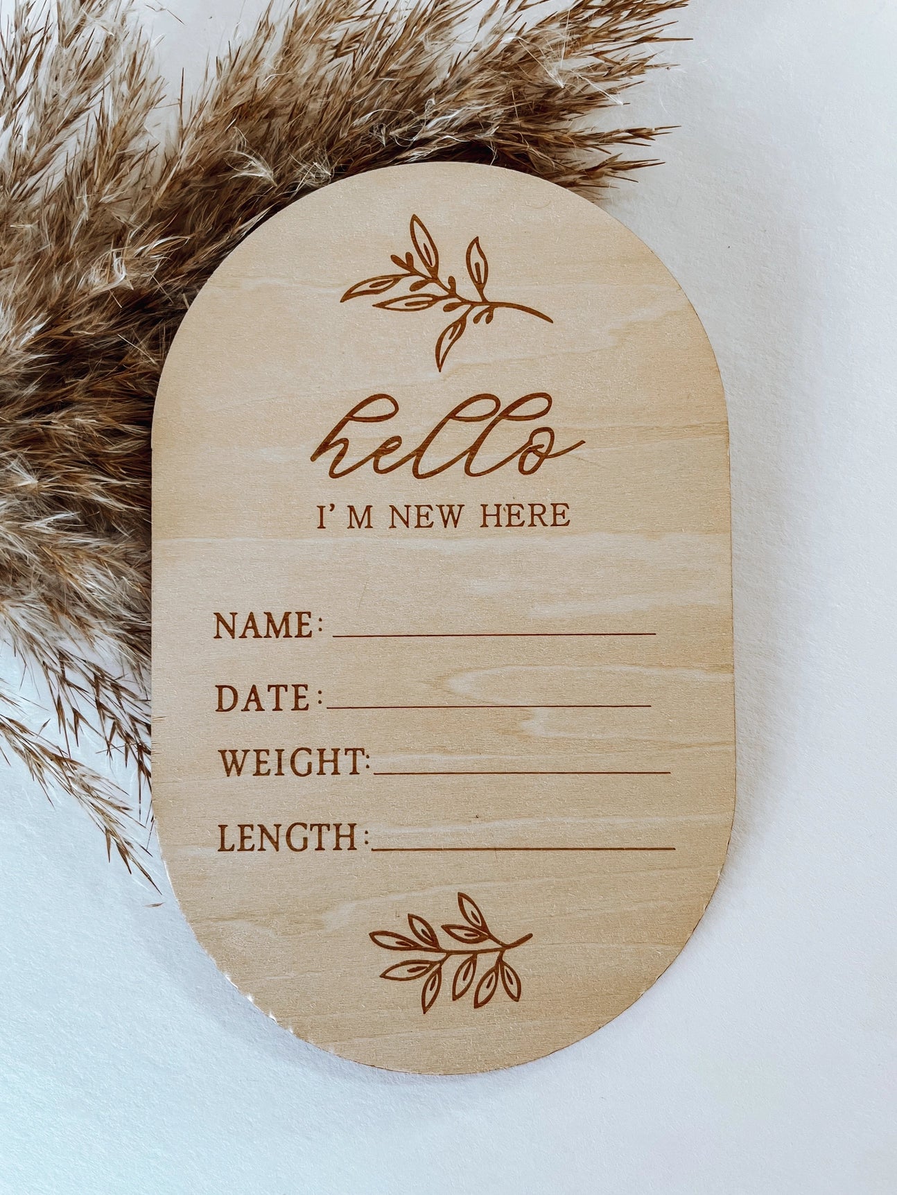 Hello I’M New Here Birth Announcement Disc (Available to ship August 20th)